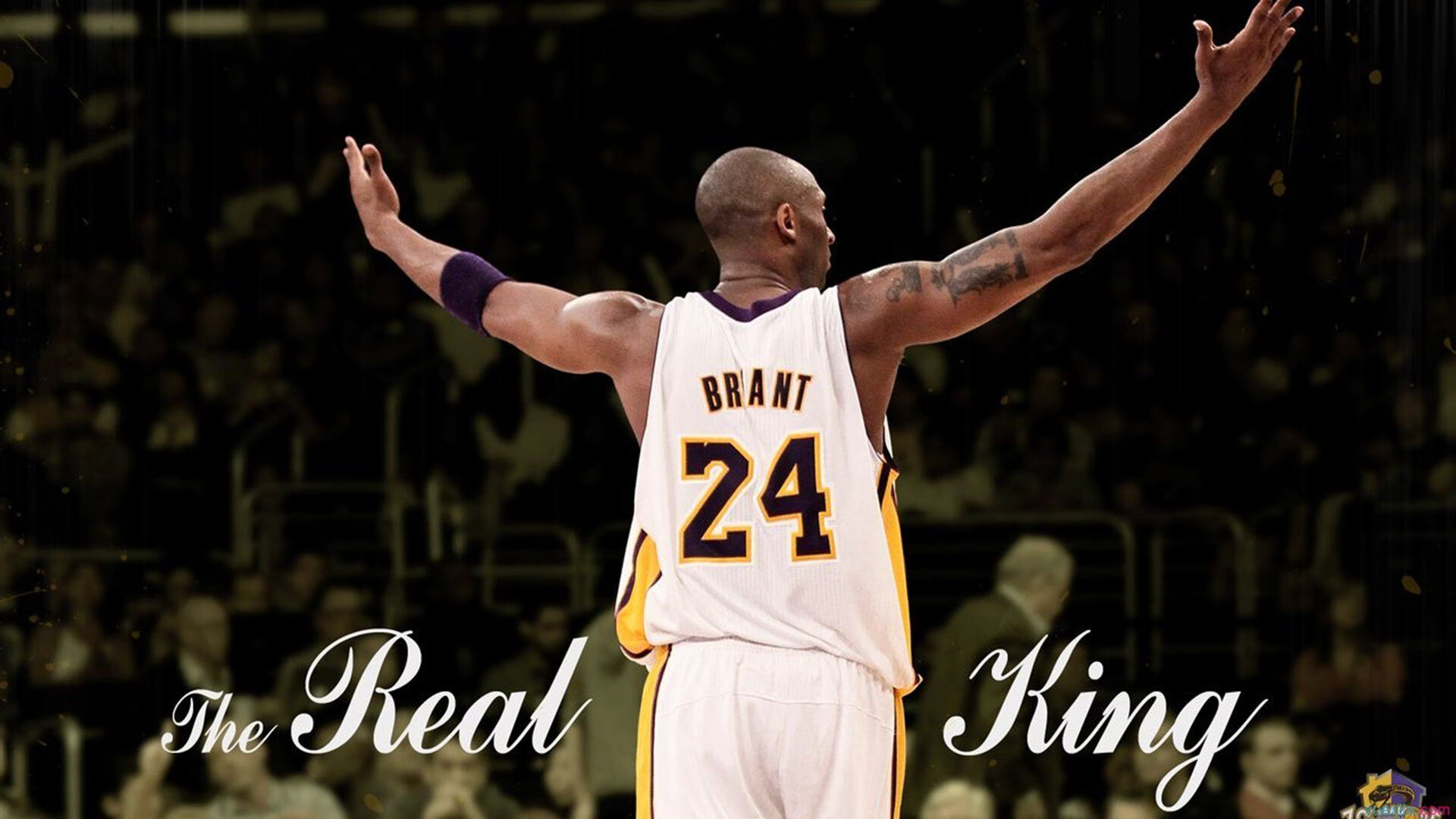 哈兰德重返赛场，比赛局势复杂首场状态出色，美国队观众沸腾！引发球迷热议